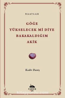 Göğe Yükselecek Mi Diye Bakakaldığım Akik & Naatlar