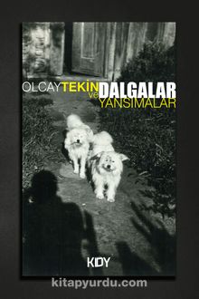 Dalgalar ve Yansımalar