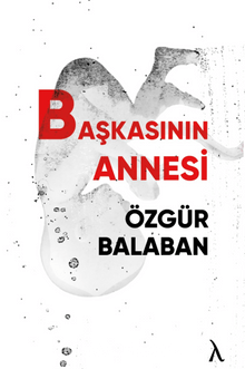 Başkasının Annesi