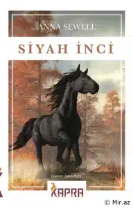 Anna Sewell «Siyah İnci» pdf indir