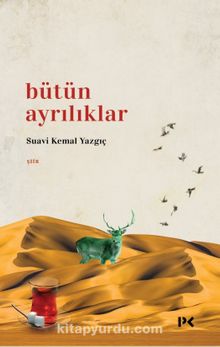 Bütün Ayrılıklar