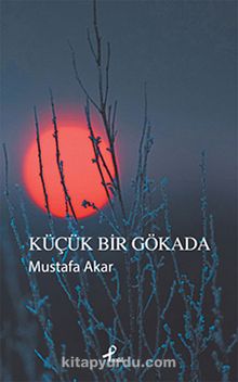 Küçük Bir Gökada