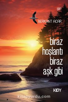 Biraz Hoşlantı Biraz Aşk Gibi