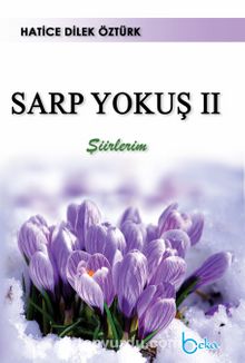 Sarp Yokuş 2