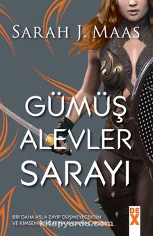 Gümüş Alevler Sarayı &Dikenler ve Güller Sarayı 4.Kitap