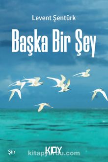 Başka Bir Şey