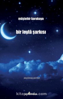 Bir Leyla Şarkısı