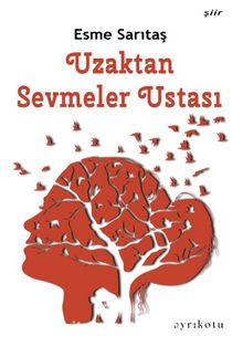 Uzaktan Sevmeler Ustası