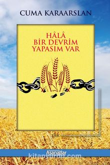 Hala Bir Devrim Yapasım Var