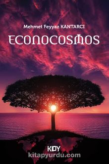 Econocosmos