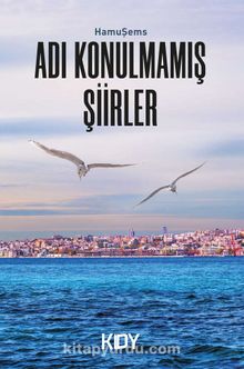 Adı Konulmamış Şiirler