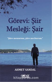 Görevi Şiir Mesleği Şair