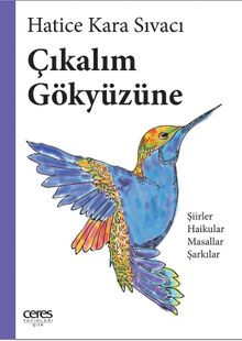 Çıkalım Gökyüzüne