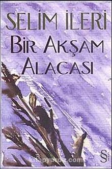 Bir Akşam Alacası