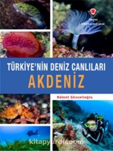 Akdeniz - Türkiye'nin Deniz Canlıları