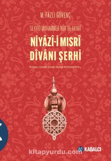 Niyazi-i Mısri Divanı Şerhi