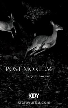 Post Mortem