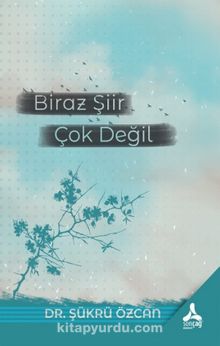 Biraz Şiir Çok Değil