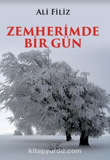 Zemherimde Bir Gün