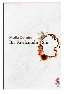 Bir Kıvılcımdır Şiir