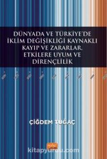 Dünyada ve Türkiye’de İklim Değişikliği Kaynaklı Kayıp ve Zararlar, Etkilere Uyum ve Dirençlilik