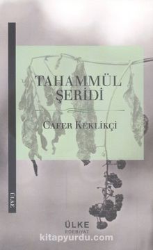 Tahammül Şeridi