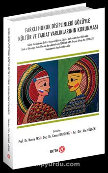 Farklı Hukuk Disiplinleri Gözüyle Kültür ve Tabiat Varlıklarının Korunması