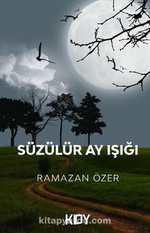 Süzülür Ay Işığı