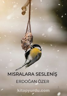 Mısralara Sesleniş