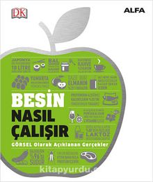 Besin Nasıl Çalışır (Ciltli) / DK Nasıl Çalışır Serisi