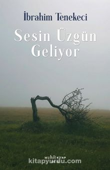 Sesin Üzgün Geliyor