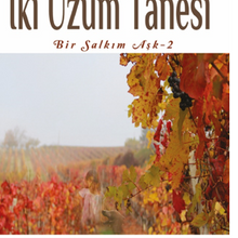  fotoğrafı