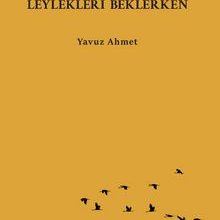  fotoğrafı