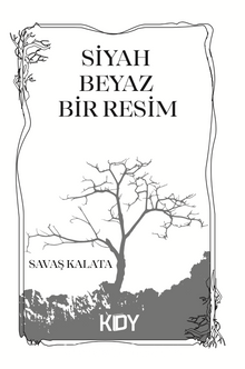 Siyah Beyaz Bir Resim