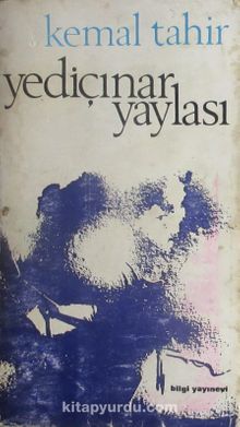 Yediçınar Yaylası (1-E-64)