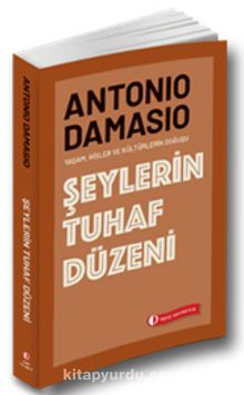 Şeylerin Tuhaf Düzeni